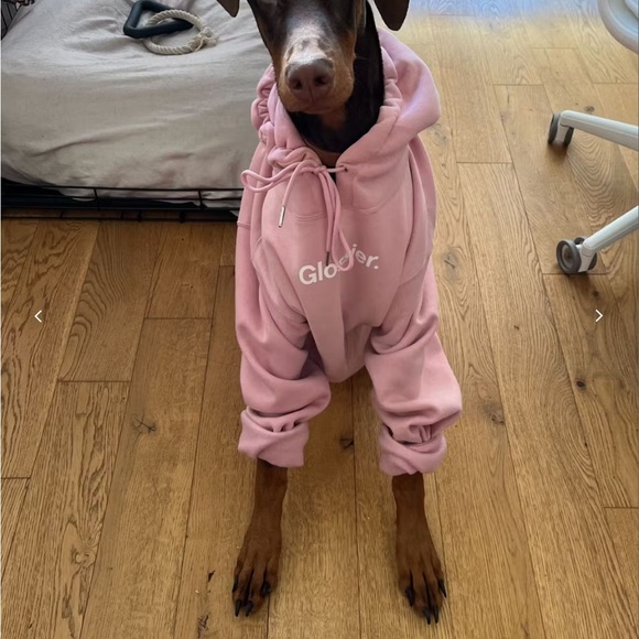 NWT Glossier Original Pink Hoodie/ Small - Picture 4 of 7